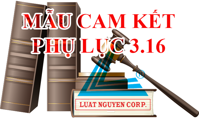 Mau-cam-ket-phu-luc-3-16